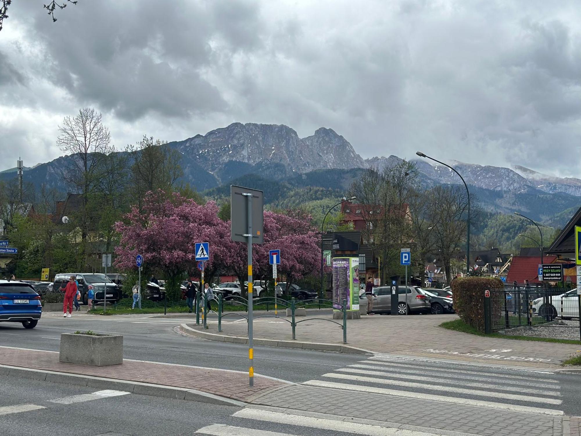 Lesny Dworek Zakopane Esterno foto